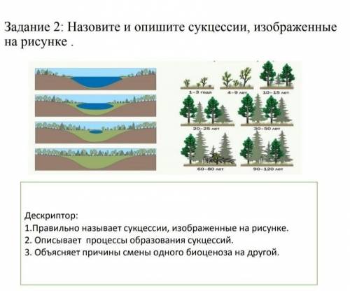 Назовите и опишите, суксеции изображенные на рисунке​