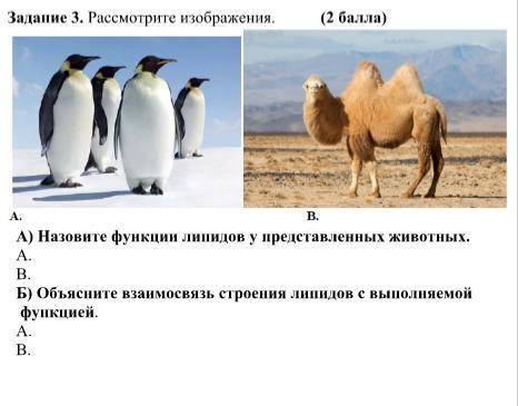 А) Назовите функции липидов у представленных животных. Б) Объясните взаимосвязь строения липидов с в