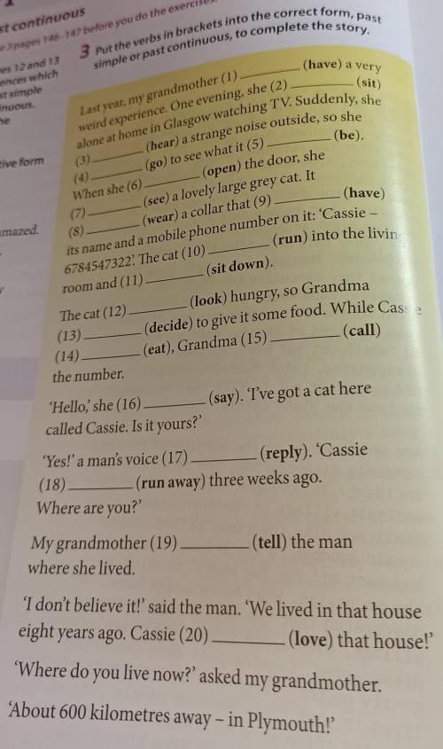 Put the verbs in brackets into the correct form, past simple or past continuous, to complete the sto