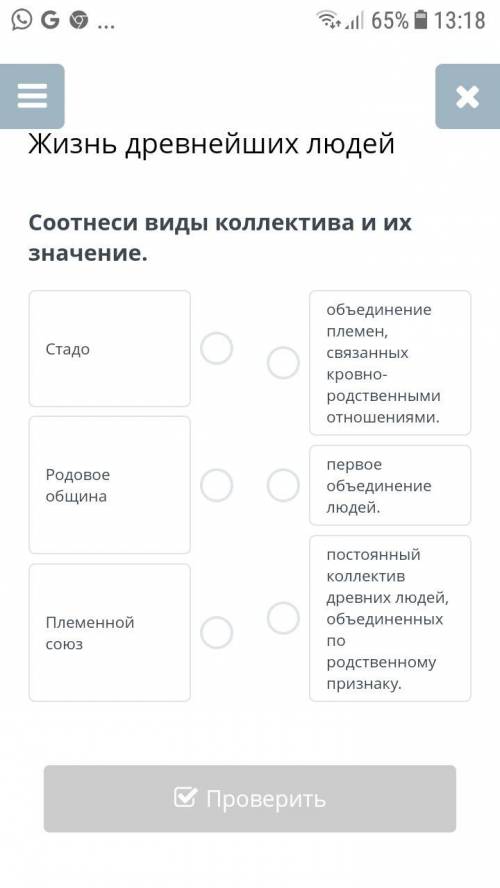 нужно соотнести виды коллективов.история