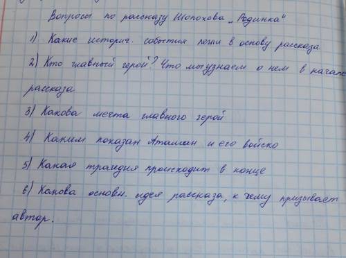 с вопросами по литературе по рассказу Родинка Шолохов