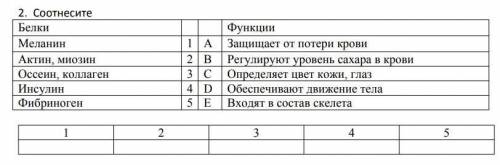 соотнесите белки и их функции​