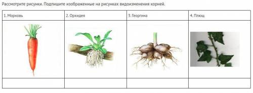 никак не могу с биологией покончить