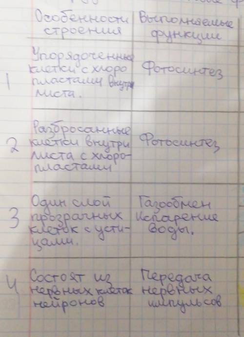 1)столбчатая ткань 2)губчатая ткань 3)покровная4)нервная5)мышечная - гладкая и поперечнополосатая -