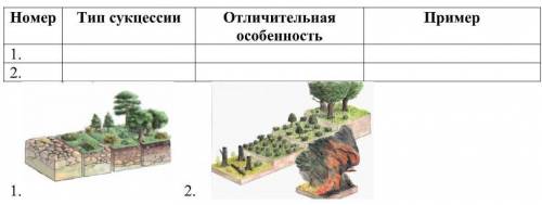 What is ecological succession? Britannica