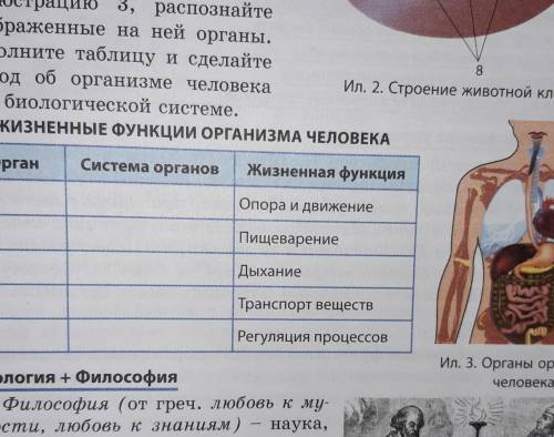 Рассмотрите иллюстрацию 3,распознайте изображенные на ней органы.Заполните таблицу и сделайте вывод