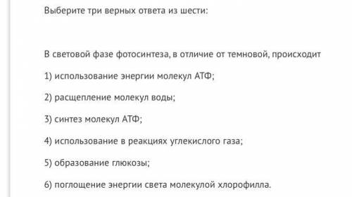 Выберите правильные утверждения. ответ запишите в виде последовательности цифр.