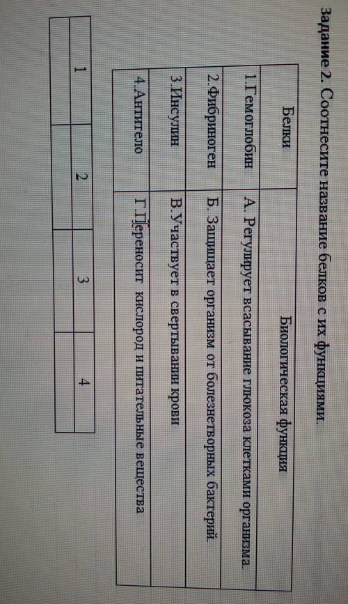 Соотнесите название белков с их функциями.​
