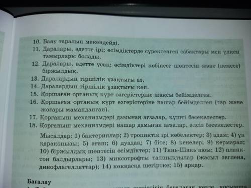 Сайкес катардагы белгы номырын х белгысымен белгылындер. 2 тапсырма кесте