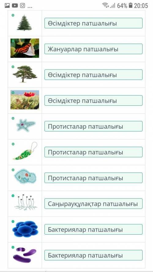 Суреттерде көрсетілген ағзалардың қандай патшалықтарға жататынын анықта.​