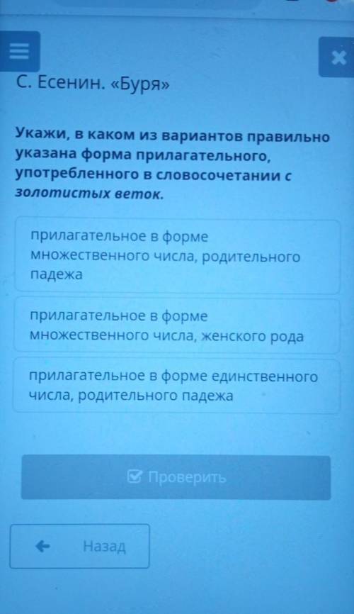 Укажи, в каком из вариантов правильно указана форма прилагательного, употребленного в словосочетании