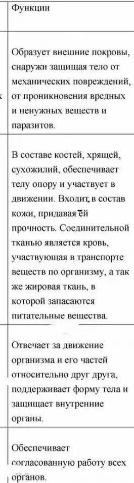 составьте таблицу характеристика типов тканей. Кратко укажите особенности строения и функции каждого