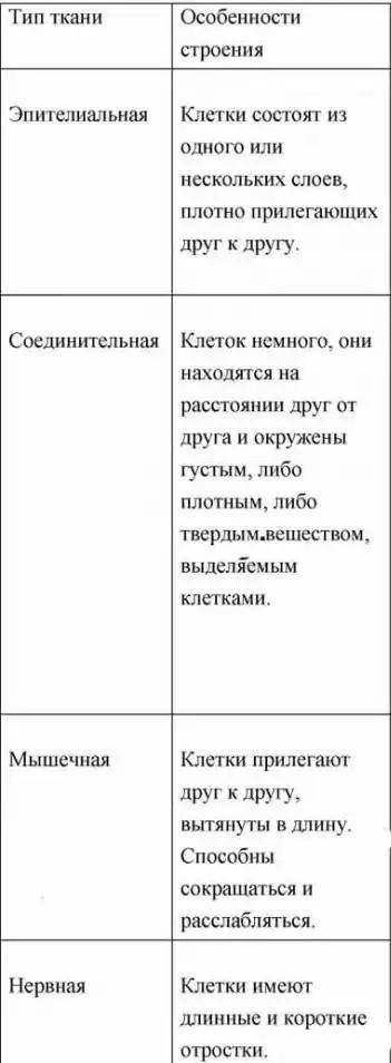 составьте таблицу характеристика типов тканей. Кратко укажите особенности строения и функции каждого