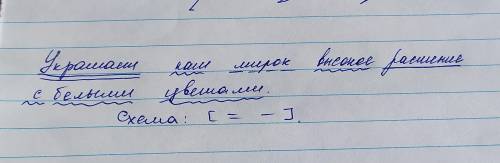 Украшает наш мирок высокое растение с белыми цветами синтаксический разбор