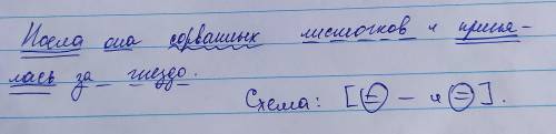 Поела она сорванных листочков и принялась за гнездо. ( синтаксический разбор предложения)​