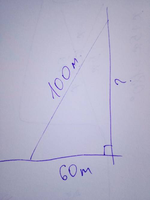К вертикальной стенке прислонили лестницу. Длина лестницы равна 100 м. Конец лестницы, опирающийся н