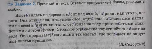 Запишите основную мысль текста