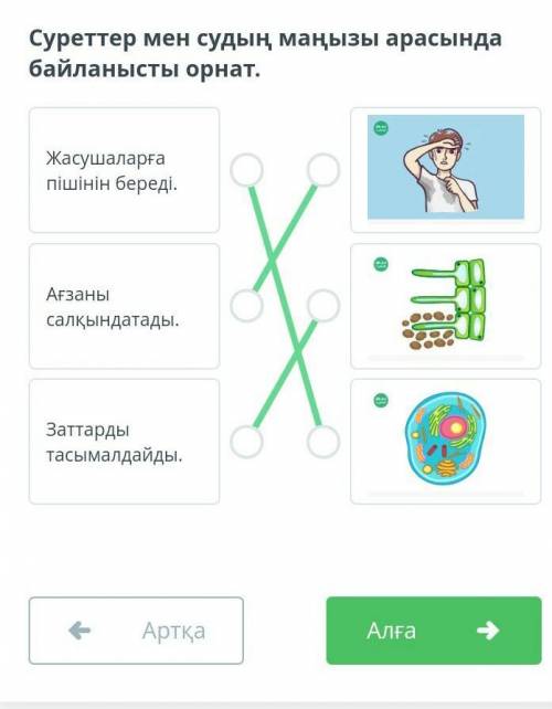 Сурнттер мен судың маңызы арасында байланысты орнат.​