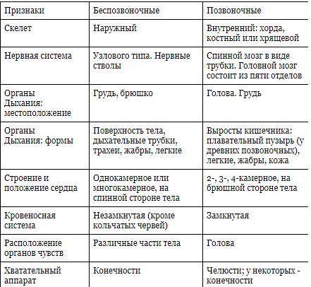 Б) Сравните и опишите отличительные признаки беспозвоночных и позвоночных животных. БаспозвоночныеПо