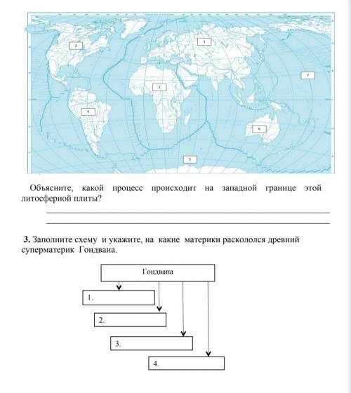 У МЕНЯ СОР ПО ГЕОГРАФИИ сверху было написано (по карте определите литосферную плиту)​