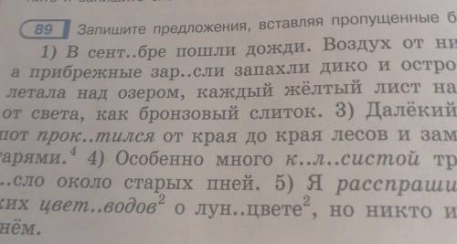 3. Подчеркните грамматические основы в сложных предложениях​