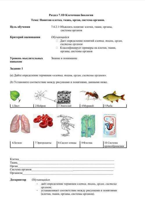 Задание по биологии помагите​