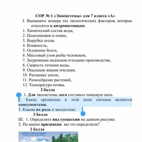 2. Какие организмы в этой цепи питания являются консументами. 3. Какова их роль в экосистеме.