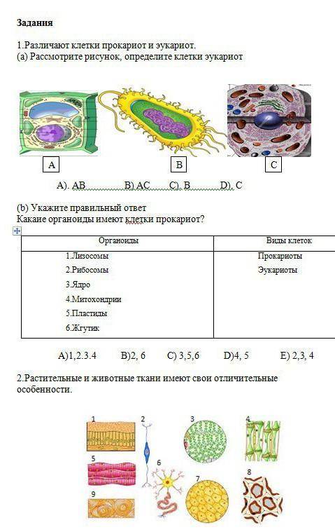 ДО 14:30 ХОТЯ БЫ 2 ЗАДАНИЕ РАДИ БОГА​