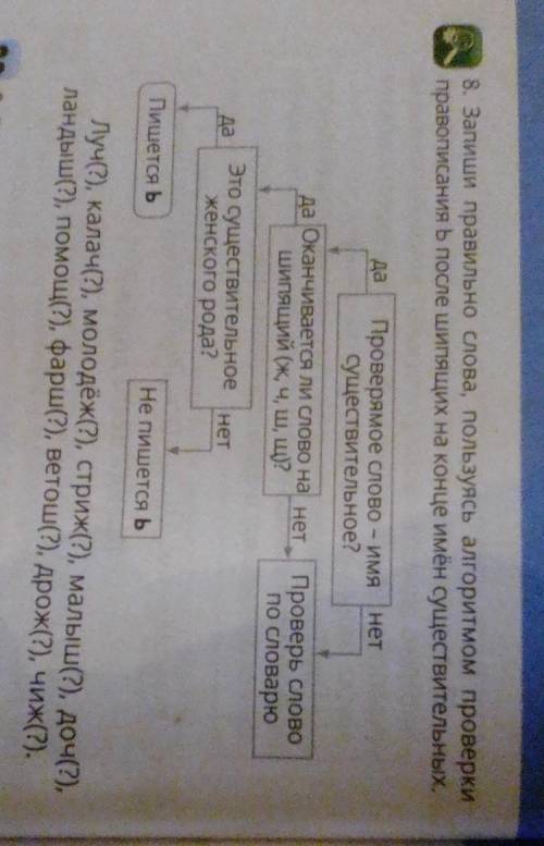 8. Залиши правильно слова, пользуясь алгоритмом проверка правописания Ь после шипящих на конце имён