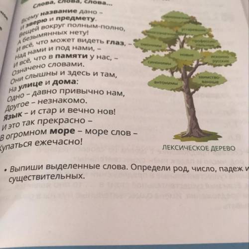 Уществительно Слова, слова, слова... 1 однозначные рилагательное устаревшие многозначные ие слительн