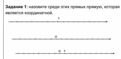 Назовите среди этих прямых прямую, которая является координатной.​