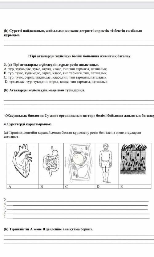 Кім көмек береді, өтінемін, бжб болып жатыр​