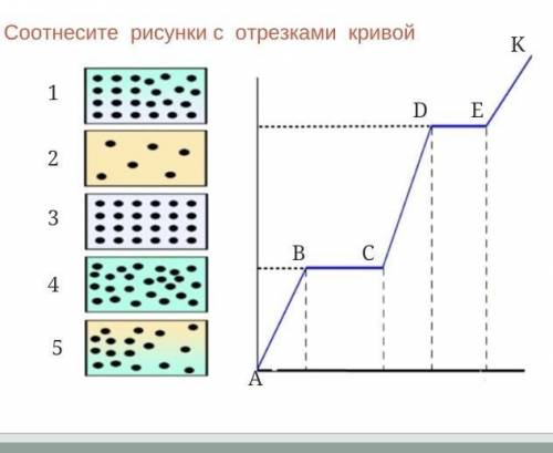 Соотносите рисунки с отрезками кривой