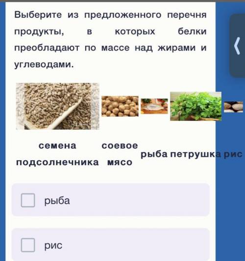 Соевое мясо семена подсолнечника рис рыба петрушка