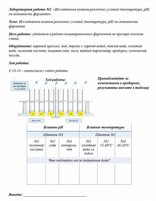 Лабораторная работа №2 «Исследование влияния различных условий (температура, pН) на активность ферме