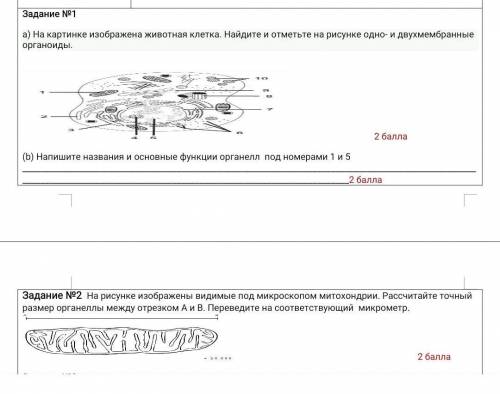 биология СОР 9 класс 1 и 2 задание​