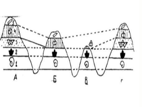 сравните по рисункам палеонтологический и стратиграфический методы определения возвроста горных поро