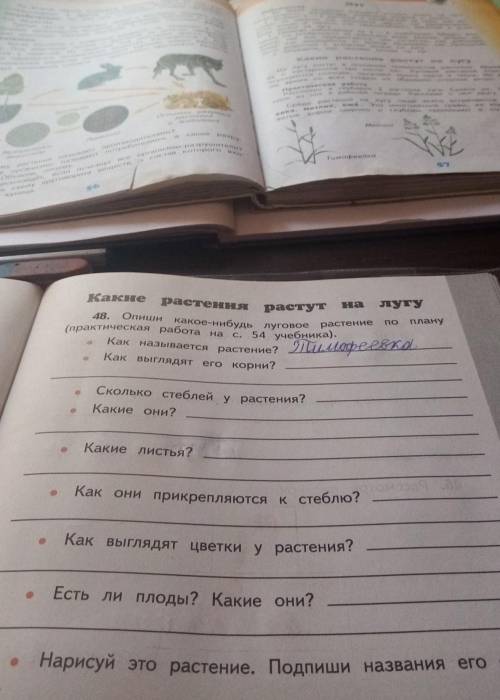 Сделайте задание:Опиши какое нибудь луговое растение по плану (практическая работа на странице 54 уч