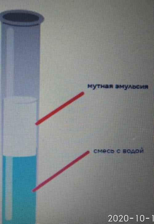 Определи, какой опыт изображен на рисунке. Выявление глюкозыВыявление белковВыявление крахмалаВыявле