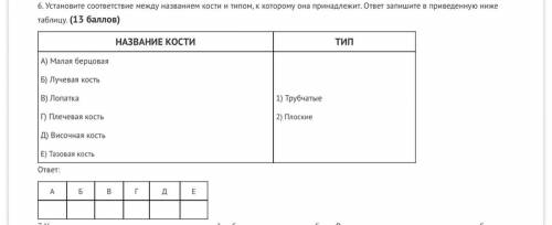 Установите соответствие между названием кости и типом, к которому она принадлежит. ответ запишите в