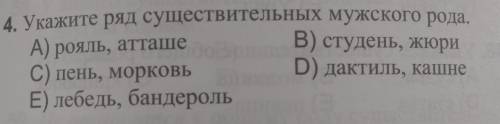 Укажите ряд существительных мужского рода.(на фото)