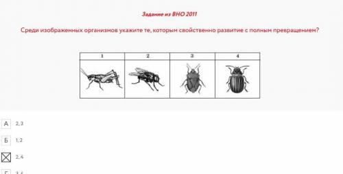 Вопрос №1 ? У какого насекомого есть жужжальца? Комар пастбищный водяной Кузнечик зеленый Хрущ майс