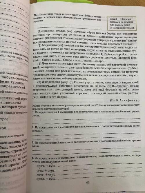 найти Г.Д.З по этой фотографии, знаю только что это русский и 8 класс.