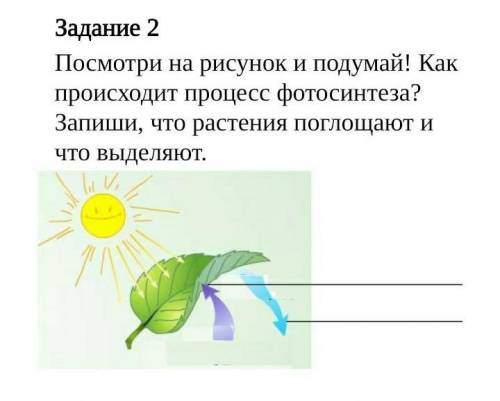 Как происходит процесс фотосинтеза нужно описать это В письменном виде​