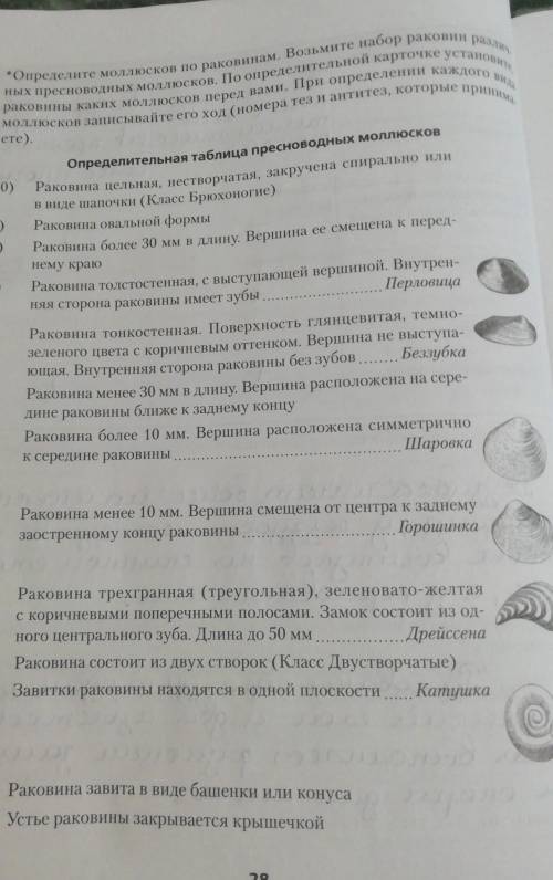 Определите моллюсков по раковинам возьмите набор раковин различных пресноводных моллюсков​