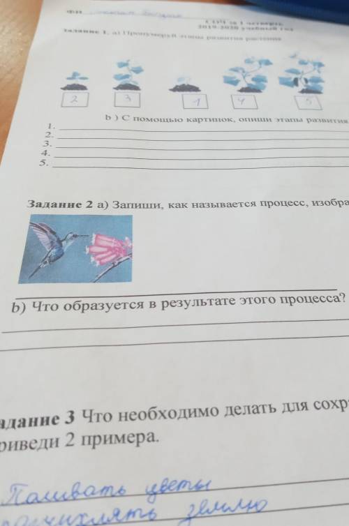 Задание 2 а) Запиши, как называется процесс, изображенный на рисунке. b) Что образуется в результате