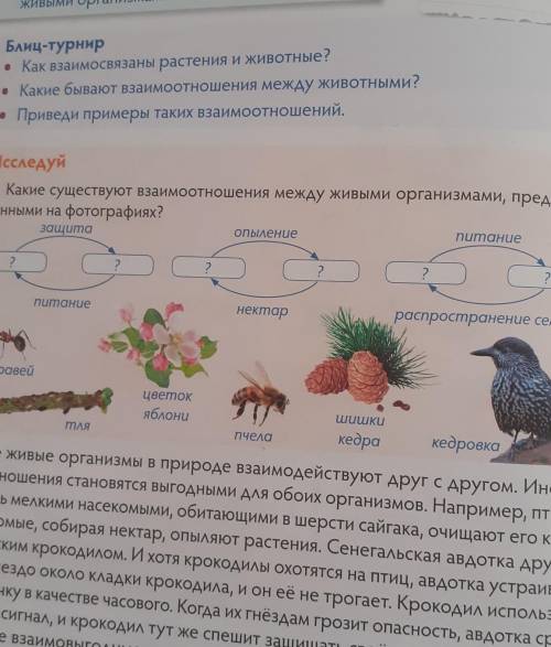 Исследуй Какие существуют взаимоотношения между живыми организмами, представ-ленными на фотографиях?