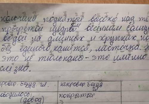 Выписать слова с проверяемыми безударными гласными и неправеряемыми гласными​