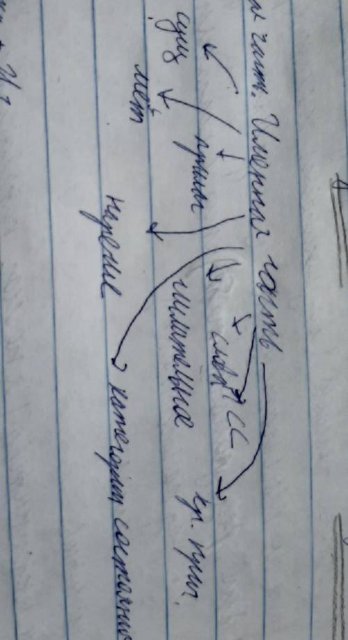 подобрать примеры по именной части по вот этой схеме (сс это сис а.света- моя соседка б.собака была
