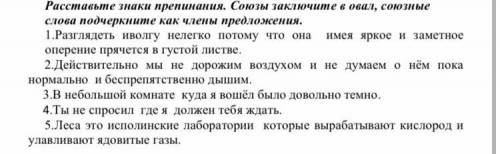 Расставьте знаки препинания. Союзы заключите в овал, союзные слова подчеркните как члены предложения